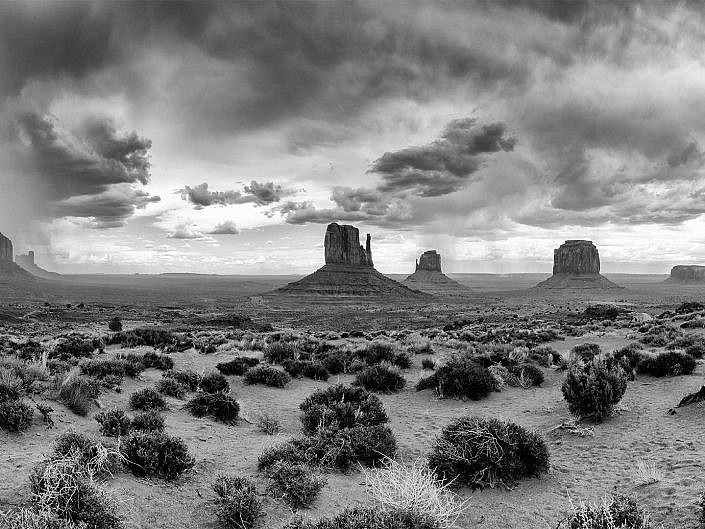 Black & White Landscape